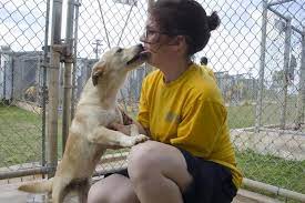 Military personnel on permanent change of station (pcs), state department foreign service personnel (fsp) and their spouses certain benefits for transporting their pet dogs and cats while traveling on assignment to and from international destinations. United Adds Military Pet Shipping Exemption Military Com