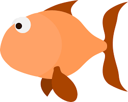 Peces Naranja Salmón - Gráficos vectoriales gratis en Pixabay