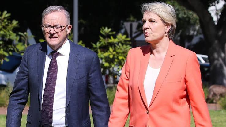 Anthony Albanese, Tanya Plibersek set for fish fight over environment reviews that threaten Tasmanian votes and salmon industry | The Australian