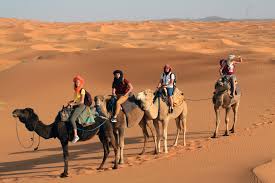 University of rode island has a great major called writing and rhetoric.' they are now worn all over the world. Merzouga Morocco Plan A Desert Tour Camel Trekking Placesofjuma