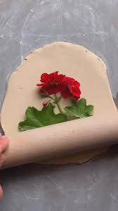 Danny Endres (dannye0143)