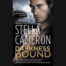 Darkness Bound by Stella Cameron