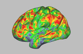 Image result for Psilocybin