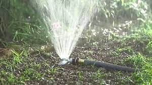 Watering New Grass Seed How Often How Much To Water New Seeds
