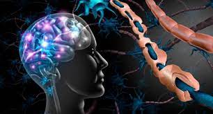 La esclerosis múltiple es una enfermedad crónica que ataca al sistema nervioso central (el cerebro y la espina dorsal). La Esclerosis Multiple Afecta Ya A Mas De 50 000 Personas En Espana Gaceta Medica