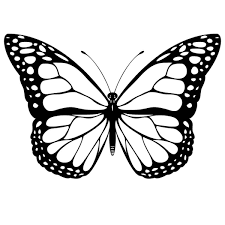 These pictures are created for young artists! 40 Free Printable Butterfly Coloring Pages