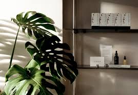 Jan 13, 2021 · with just a sock filled with polyester fibre, wood dowel, two buttons for the eyes and a little sewing, you can make a hobby horse for the kids. Saint Francis Place Is Fitzroy S New Untraditional Beauty And Skincare Store