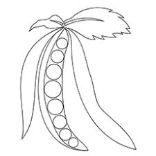 Select from 35970 printable coloring pages of cartoons, animals, nature, bible and many more. Top 10 Peas Coloring Pages For Toddlers