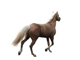 Pin On Png Files For Photomanipulations