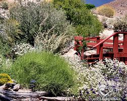 For the sonoran desert area, which requires plants suitable to extreme. Uses Of Sw Desert Plants Lecture The Power Of Plants