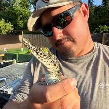 Where to find peacock bass 7 inches and under?