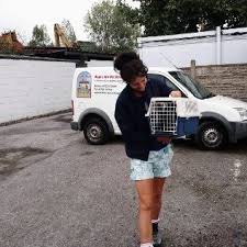 Why are you interested in adopting this pet? Noah S Ark Pet Rescue Noahspetrescue Twitter
