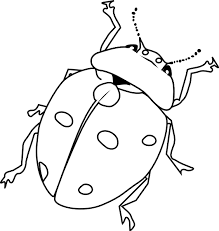 Arshi on september 26, 2019. Insect Coloring Pages Best Coloring Pages For Kids