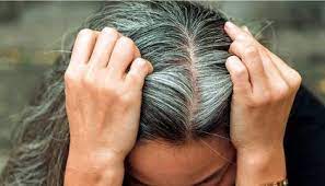 Entretien des cheveux blancs : Peut On Se Faire Des Cheveux Blancs En Une Nuit Pour La Science