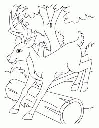 The festival is free and will be filled with live music and art here's another coloring page, i think i'll make. Get This Deer Coloring Pages Online Baby Deer Jumping Over A Log