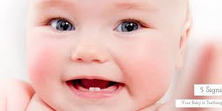 Image result for Teething