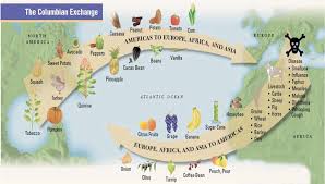 A Path Through The Wood Columbian Exchange