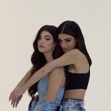 According to “The DAmelio Show,” Being Famous on TikTok Sucks | The New  Yorker