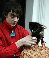 Pete Doherty Cat 3 Pete Doherty Embrace Pet Insurance Cats