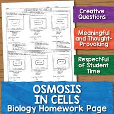 Biology Diffusion And Osmosis Worksheet Answer Key Pdf Osmosis In Cells Biology Homework Worksheet Homework Worksheets Cell Biology Biology