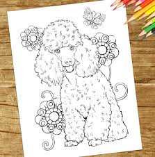 Poodle has a loyal nature, likes to play and smart. I Challenged Myself To Create A Line Art Drawing Of A Poodle Since There Were Many Requests Not Easy Gett Poodle Drawing Dog Coloring Page Line Art Drawings