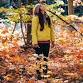 Autumn Open Woods