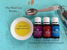 Back To School Can Often Times Mean Head Lice Get Rid Of Lice Naturally With Essential Oils Essentialoi Living Essentials Oils Diy Essential Oils Living Oils
