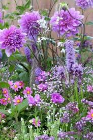 Pin By Amy Roberts On Gardening Purple Flowers Pretty Flowers Purple Garden