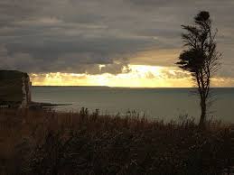 Cote Normande De Dieppe Au Treport Photo D Arbre Dieppe Coucher De Soleil