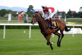 Horse Racing Jockey Iffezheim Baden Baden Racehorse Free Image From Needpix Com