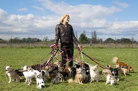 kak v starosti ne ostatsya bez pensii rossijskaya gazeta dog walking business dog walking dogs