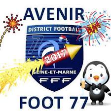 The images here illustrate certain points of interest during a project in the department of seine et marne. Avenir Foot 77 Publications Facebook