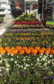 Lowe S 1965 In Lindale Tx Garden Center Displays Lowe S Garden Center Garden Set