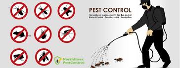 Get tips, tricks and trade secrets to help you build a profitable and thriving. Why Would Commercial Buildings Need Pest Control Quora