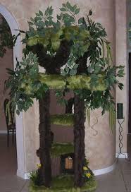 When wolfie and his siblings were found on skid row in downtown los angeles, the. Enchanted Cat Tree Pasteurinstituteindia Com