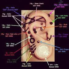 Ear Piercing Chart Liked On Polyvore Featuring Piercings Ear Piercing Diagram Ear Piercings Chart Piercing Chart