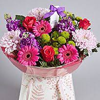 View more marks and spencer (mands) vouchers and discounts. Mcp Flowers Plants Online Free Next Day Flowers Delivery M S Www Marksandspencer Com