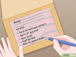 R43c 493j easy guppy,habit,blank card,iirc, infinite health/damage/map reveal. How To Make A Plantable Seeded Card With Pictures Wikihow