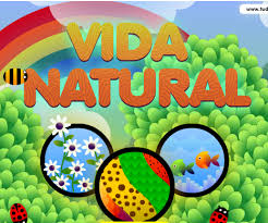 Discoverykids juego de los colores for kids youtube. Vida Natural Juego Interactivo De Discovery Kids Agua Org Mx
