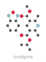 Image result for Isradipine