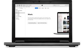 Here you can find the top 5 effective ways to transfer itunes library from one computer to another. Itunes User Guide For Pc Apple Support