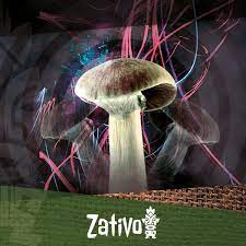 Spores of the cubensis strain are available in a syringe 20 ml, spore vial 10m l and as a spore print. Tipps Fur Eine Bessere Erfahrung Mit Zauberpilzen Zativo