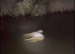 Vipginger4play porn definitely someone to