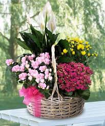 Premium European Basket Same Day Flower Delivery Flower Delivery Easter Floral Decorations