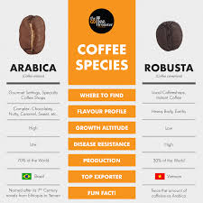 What Have You Bean Drinking Your Essential Guide To Coffee Species Gourmet Coffee Bad Coffee Coffee Type