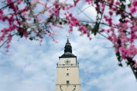 Obsahuje najväčší súhrn informácií o podujatiach pre deti, kultúrnych, spoločenských, športových podujatiach, jarmokoch a trhoch na slovensku. Kam V Trnave A Okoli Sest Tipov Nielen Na Vikend Sme My Trnava