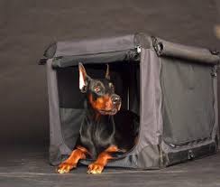 Search a wide range of information from across the web with dailyguides.com. 5 Best Soft Sided Dog Crates Comfy Crates For Traveling Dogs