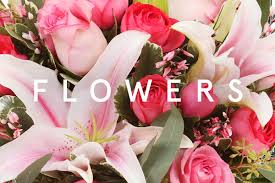 Same day delivery by a professional florist in jersey city, nj. Flower Delivery New Jersey Plantshed