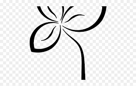 You may use this domain in literature without prior coordination or asking for permission. White Flower Clipart Transparent Background Png Download 5501746 Pinclipart