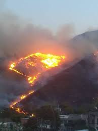 El incendio acompañado de humo ocurrió a primeras horas del sábado en el edificio del centro de se trataría de un incendio en un área de comercios, galerías y autoservicios. Las Impactantes Imagenes Que Dejo El Incendio Forestal En Cali